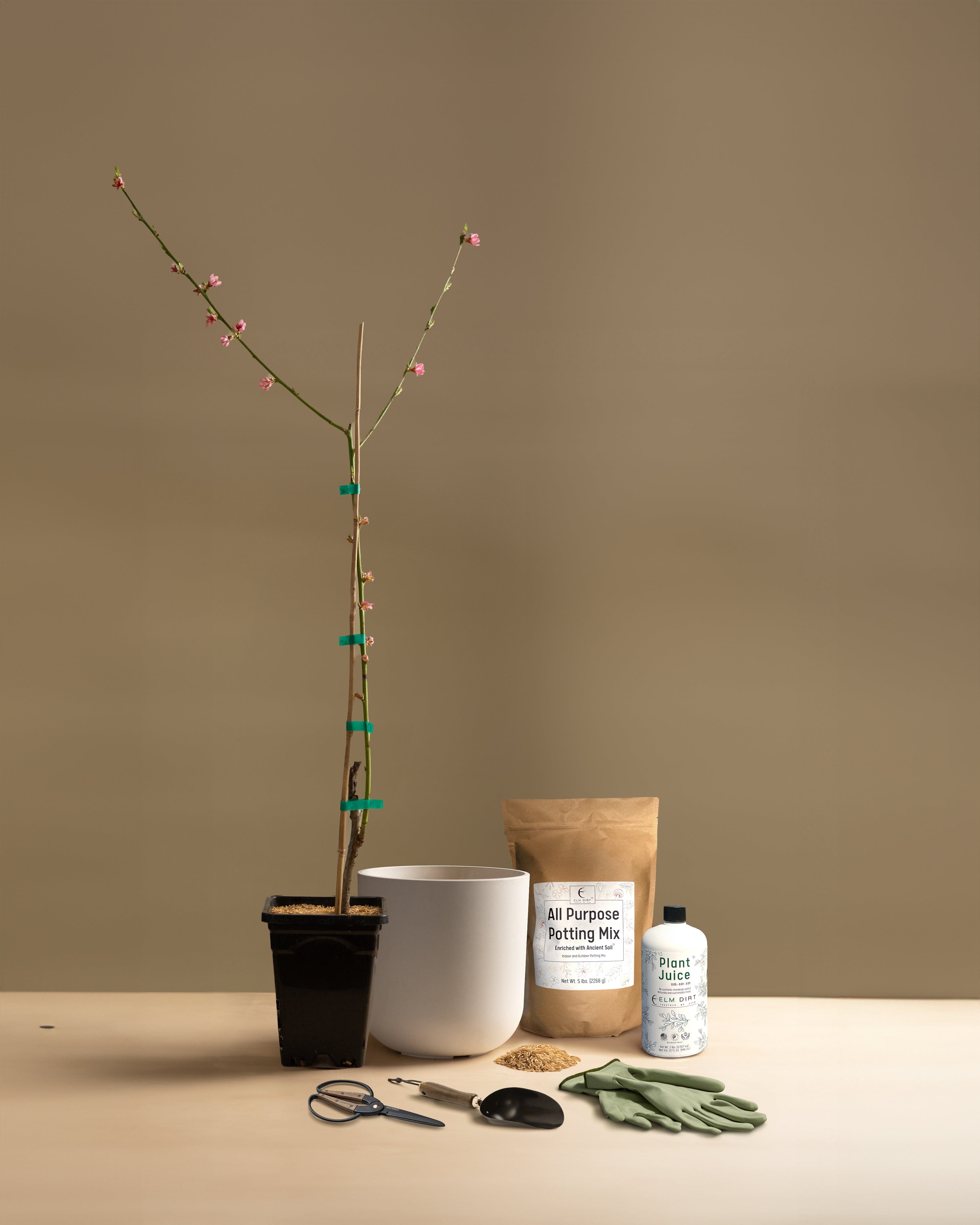 Pick-Your-Plant Gift Kit
