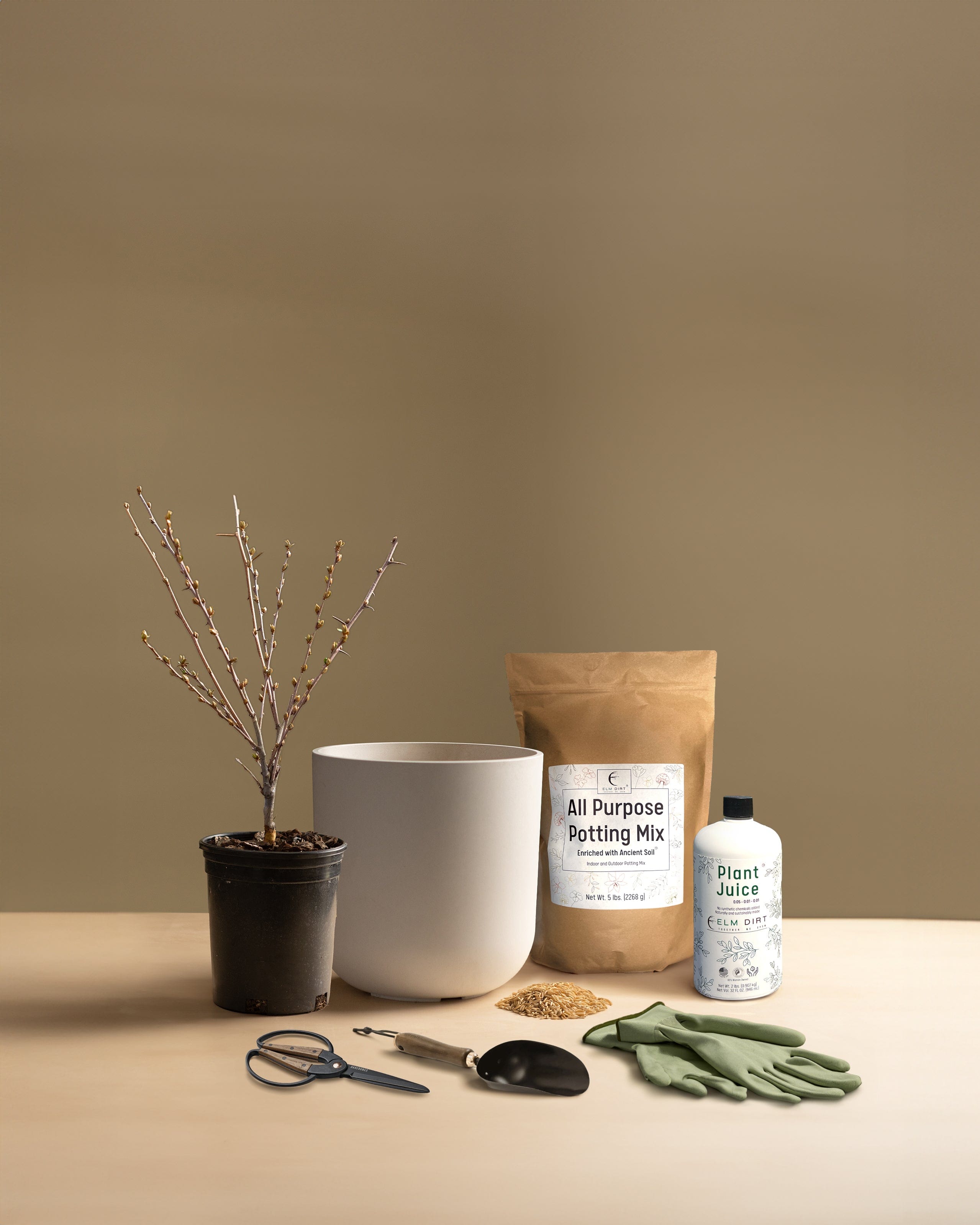 Pick-Your-Plant Gift Kit