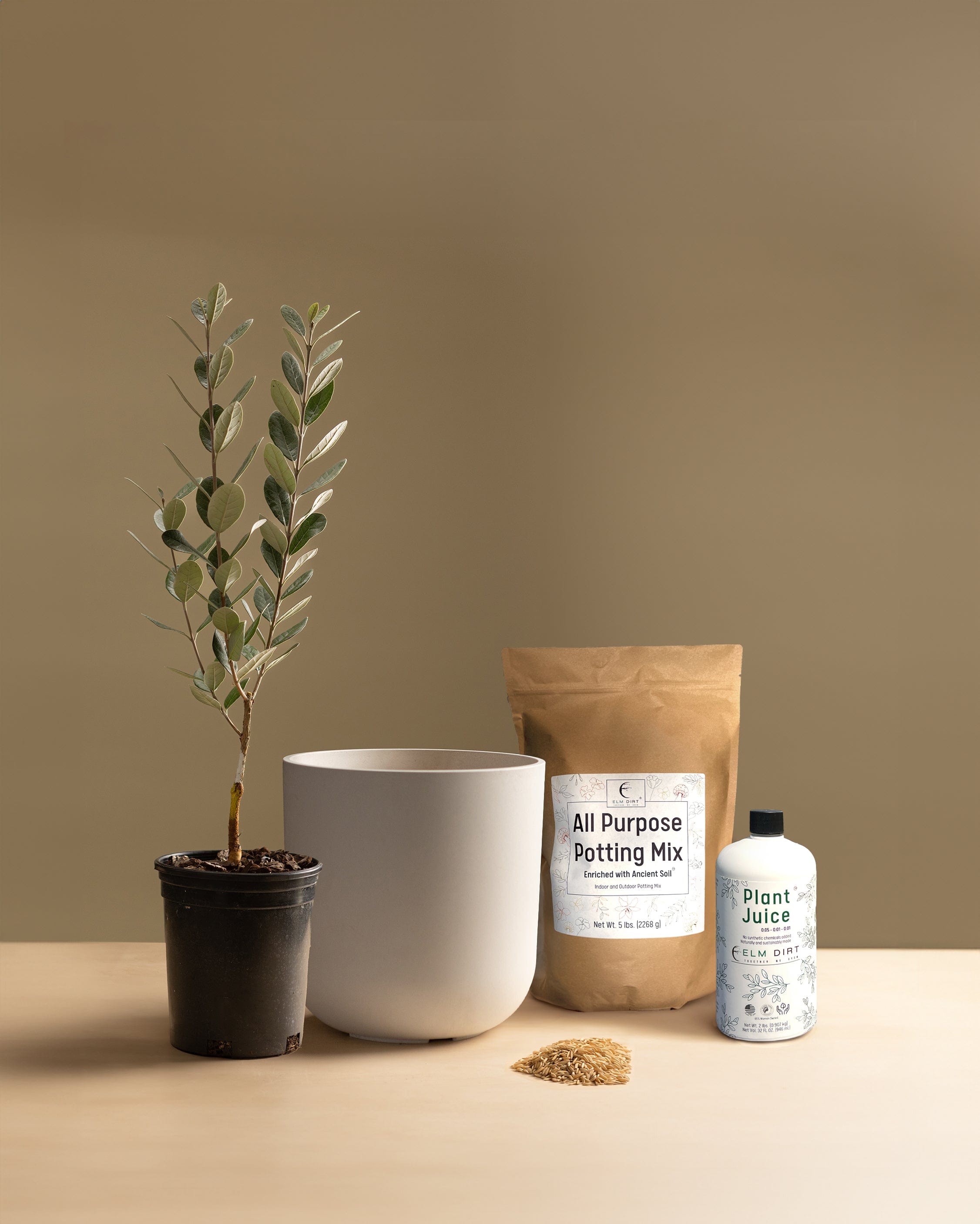 Potting Essentials Kit-Shrubb-